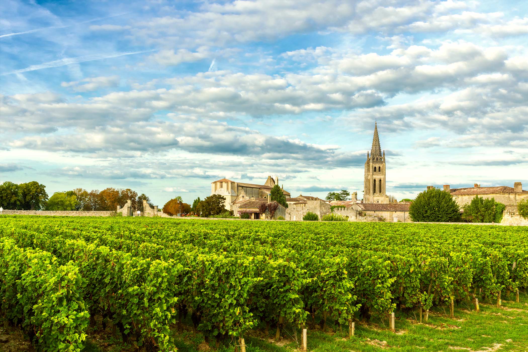 Droit rural – Personnes publiques